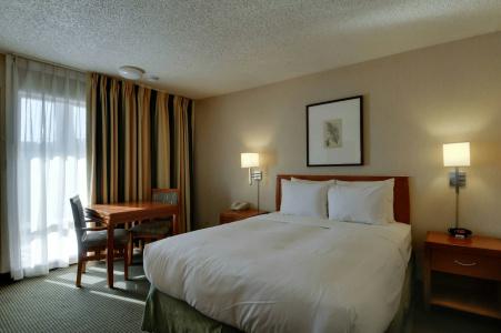 Vagabond Inn - 33