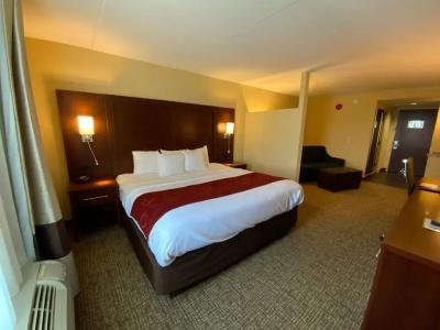 Comfort Suites North - 80