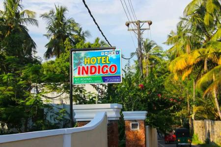 Indigo - 5