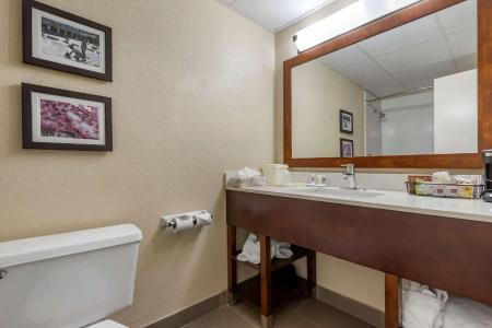 Comfort Inn Charlotte Airport Uptown - 66
