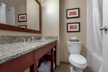 Comfort Inn The Pointe - 9