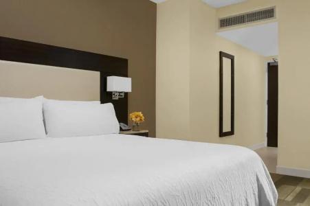 Hilton Garden Inn Times Square Central - 53