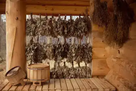 Кедровый - 50