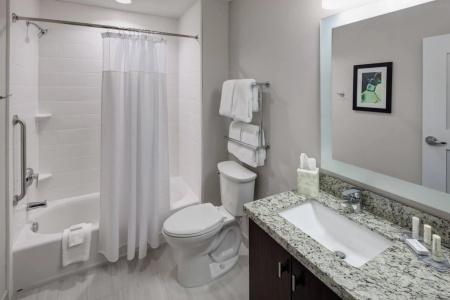 TownePlace Suites by Marriott Orlando at SeaWorld - 44