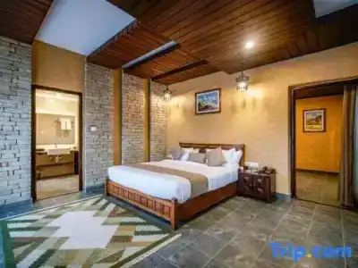 Bar Peepal - 134
