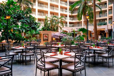 Sheraton Suites Fort Lauderdale at Cypress Creek - 23