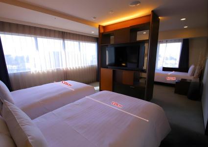 Richmond Premier Tokyo Oshiage - 37