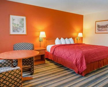 Quality Inn & Suites Airport - 47