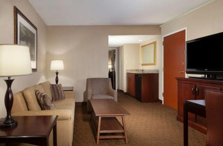 Embassy Suites by Hilton Dallas Near the Galleria - 3