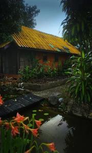 Areeya Phuree Thaton - 37