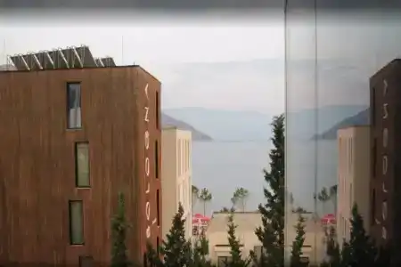 Vlora International - 0