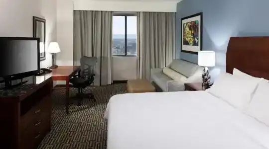 Hilton Garden Inn Denver Downtown - 81