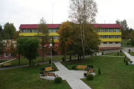 Железняки - 11