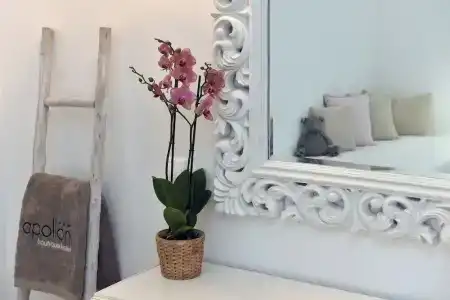 Apollon Boutique - 73