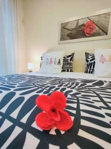 Florence Comfort b&b - 75