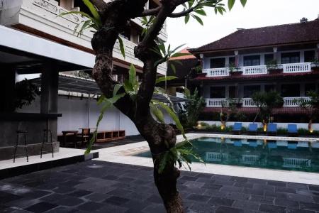 Palm Garden - 18