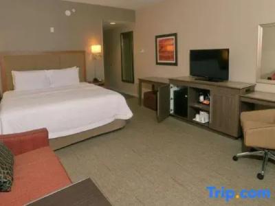 Hampton Inn-South - 43
