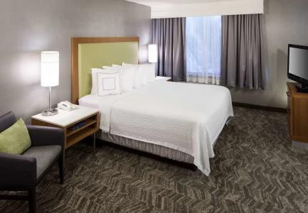 SpringHill Suites by Marriott ParkCenter - 2