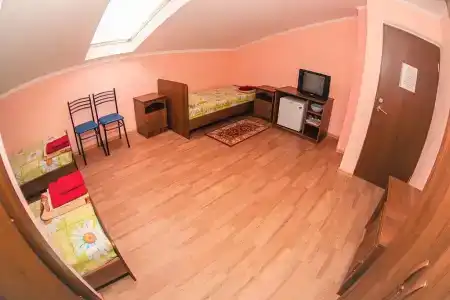 Елена на Краснозеленых - 10