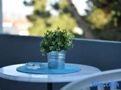 Neu Heidelberg - Guesthouse & - 32