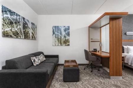 SpringHill Suites by Marriott Downtown/Cameron Harbor - 63