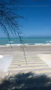 The Wave - 15