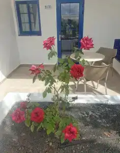 Cinco Plazas - 46