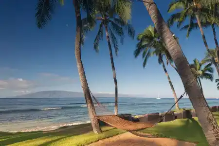 Hyatt Regency Maui & Spa - 16
