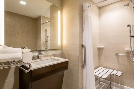 Holiday Inn Brooklyn Downtown, An Ihg - 62