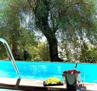 Mr and Mrs White Corfu Couples Retreat Adults Only - 60