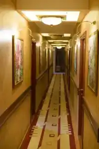 Любе Плюс - 8