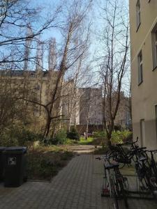 Arche - 11