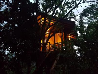 Eighth Wonder Resort - 43