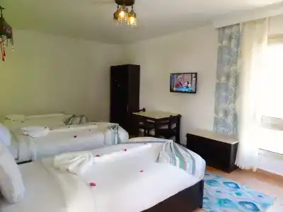 Naama Blue - 6