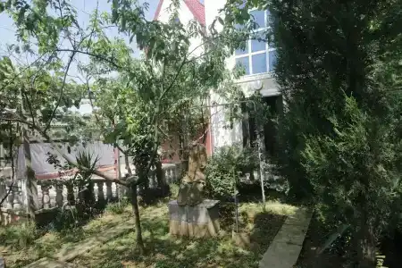 Кавказ - 29