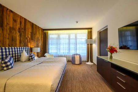 Bedriska Wellness Resort & Spa - 154