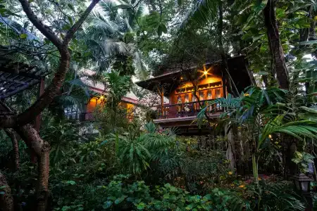 Rabbit Resort Pattaya-Sha Extra Plus - 26