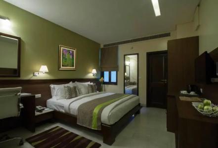 Leisure Inn Grand Chanakya - 26