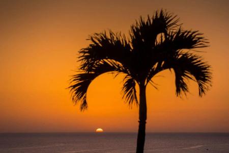 Pestana Royal Premium Ocean & Spa Resort - 26