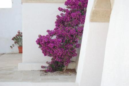Terra di Leuca - 13