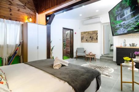 Kinneret Lodging - 4