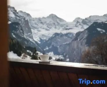 & Spa Silberhorn Wengen - 130