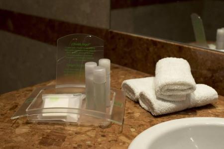 Holiday Inn Cordoba, An Ihg - 18
