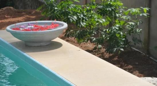 Karma Guesthouse - 11