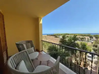 Panoramic - 219