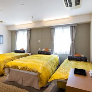 Dorf Shizuoka - 29