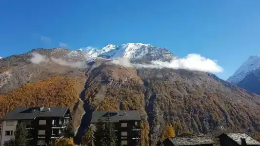 Alpenperle - 21