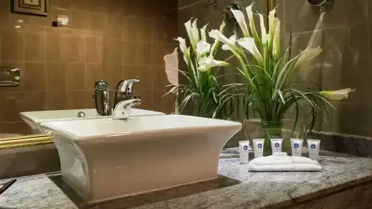 Best Western Plus - 13