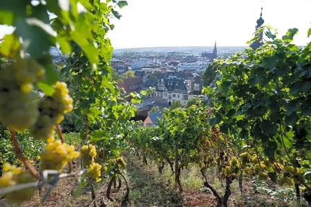LandKauzenberg - 53