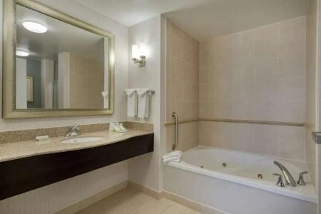 Hilton Garden Inn Southpoint - 91